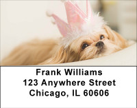 Pekingese Princess Address Labels | LBBBB-19