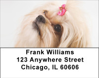 Pekingese Princess Address Labels | LBBBB-19
