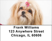 Pekingese Princess Address Labels | LBBBB-19