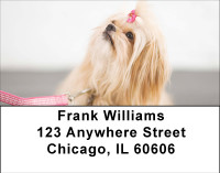 Pekingese Princess Address Labels | LBBBB-19
