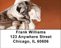 Pug Puppies Address Labels | LBBBB-21