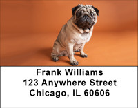 Pug Puppies Address Labels | LBBBB-21
