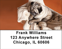 Pug Puppies Address Labels | LBBBB-21