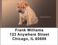 Gotta Love The Shar Pei Address Labels | LBBBB-22