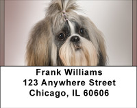 Shih Tzu Portraits Address Labels | LBBBB-25