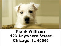 West Highland Address Labels | LBBBB-28