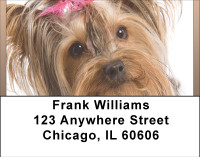 Yorkshire Terrier Fun Address Labels | LBBBB-30