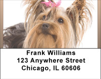 Yorkshire Terrier Fun Address Labels | LBBBB-30