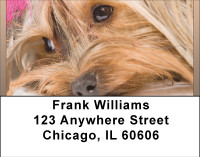 Yorkshire Terrier Fun Address Labels | LBBBB-30