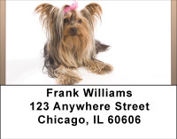 Yorkshire Terrier Fun Address Labels | LBBBB-30