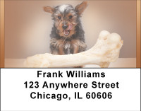 Yorkshire Trouble Address Labels | LBBBB-32