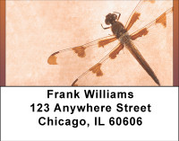 Dragonfly Days Address Labels | LBBBB-33