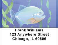 Fancy Fish Address Labels | LBBBB-35