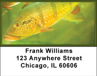 Fish Splender Address Labels | LBBBB-36