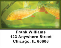 Fish Splender Address Labels | LBBBB-36