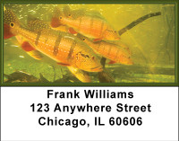 Fish Splender Address Labels | LBBBB-36