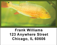 Fish Splender Address Labels | LBBBB-36