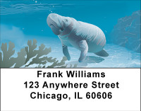 Magnificent Manatee Address Labels | LBBBB-37