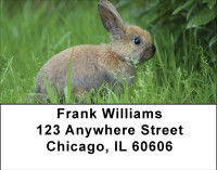 Bunnies In Springtime Address Labels | LBBBB-41