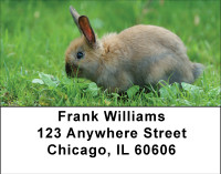 Bunnies In Springtime Address Labels | LBBBB-41