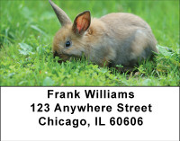 Bunnies In Springtime Address Labels | LBBBB-41