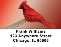 Artistic Wildlife Address Labels | LBBBB-43