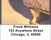 Chic Vintage Beauty Address Labels | LBBBC-34