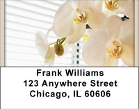It's A New Day Address Labels | LBBBD-51