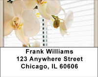 It's A New Day Address Labels | LBBBD-51