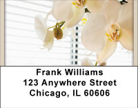 It's A New Day Address Labels | LBBBD-51