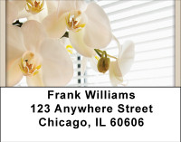 It's A New Day Address Labels | LBBBD-51