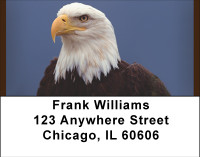 American Bald Eagles Address Labels | LBBBD-66