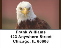 American Bald Eagles Address Labels | LBBBD-66
