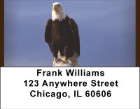 American Bald Eagles Address Labels | LBBBD-66