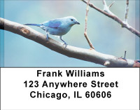 Blue Birds Address Labels | LBBBD-67