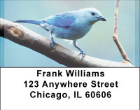 Blue Birds Address Labels | LBBBD-67