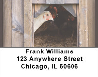 Hen House Address Labels | LBBBD-68