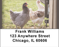 Hen House Address Labels | LBBBD-68