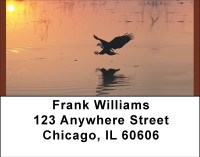 Eagle Reflections Address Labels | LBBBD-73
