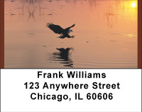 Eagle Reflections Address Labels | LBBBD-73
