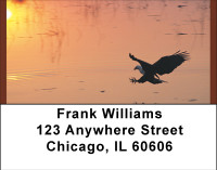 Eagle Reflections Address Labels | LBBBD-73