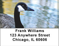 Canadian Goose Address Labels | LBBBD-75