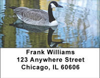 Canadian Goose Address Labels | LBBBD-75
