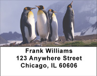 Families Of Penguin Address Labels | LBBBD-77