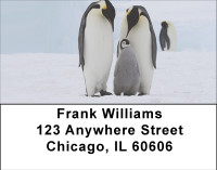 Families Of Penguin Address Labels | LBBBD-77