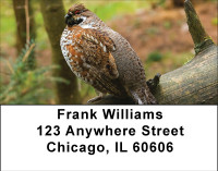 Quail In Nature Address Labels | LBBBD-80