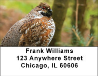 Quail In Nature Address Labels | LBBBD-80