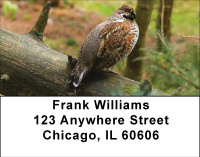 Quail In Nature Address Labels | LBBBD-80