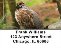 Quail In Nature Address Labels | LBBBD-80