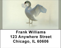 Stuck Address Labels | LBBBD-82